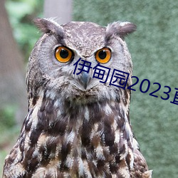 伊甸园2023直达(達)网站v4.0.2