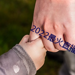 2022最火直播間