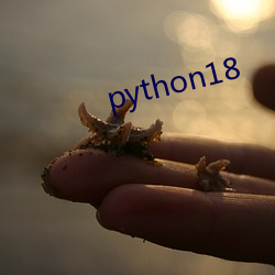 python18