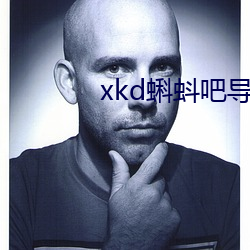 xkd蝌蚪吧導福航