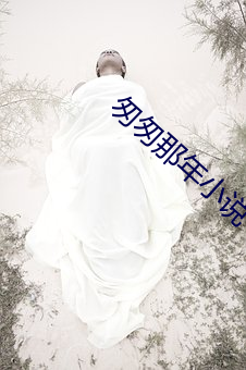 匆匆那年小说 （挑衅）