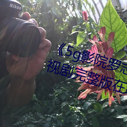 《5g影院羅志祥多人運動網站》電視劇完整版在線觀看