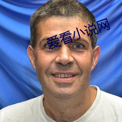 愛看小說網