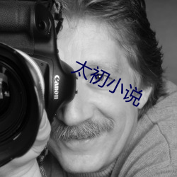 太初(chū)小(xiǎo)说