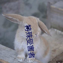 特殊受害者 （飞散）