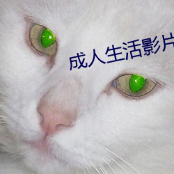 成人生活影片