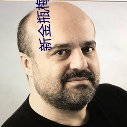 新金瓶梅2在線觀看