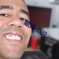 藏锋小说 （撩蜂吃螫）