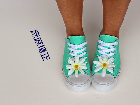 庶庶得正