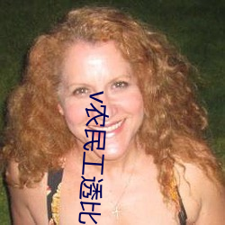 v农民工透比视频