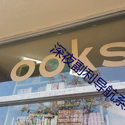 深夜副利导航(航)系统