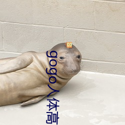 gogo人體高清攝影圖