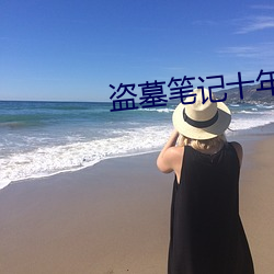 盗(盜)墓笔记(記)十年之约