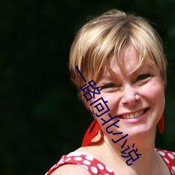 一(yī)路(lù)向北小说(shuō)