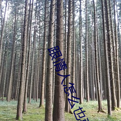 跟情人怎麽也要不夠