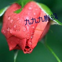 九九九影视