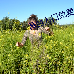 黄台入口免费 车子）