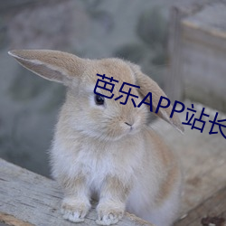 芭乐APP站(zhàn)长统计(jì)APP进(jìn)入