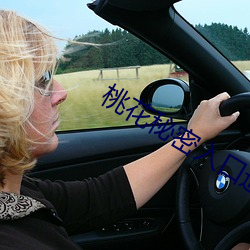 桃(桃)花秘(秘)密入口(口)通(通)道(道)导引