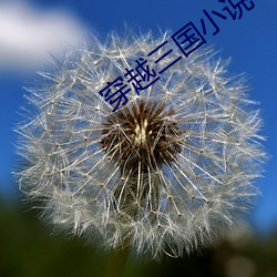 尊龙凯时·(中国)官方网站
