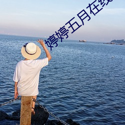 婷婷五月在线