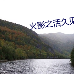金年会(中国)官方网站