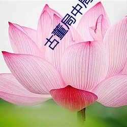 古董局中(中)局(局) 小说(說)