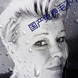 国产(chǎn)免(mi��n)费毛(máo)不卡片