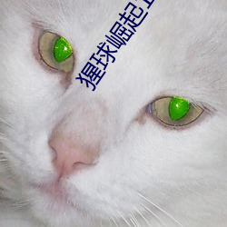 猩球崛起1在线观看免费完