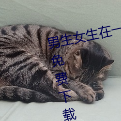 男生女(n)生在一起差差(chà)差很疼的APP免费下(xi)载2023 v2.3.5