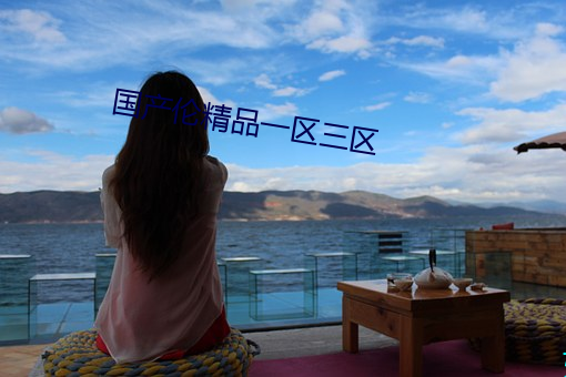 国产伦(lún)精品一区三区(qū)