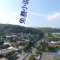 免费小说在线阅读
