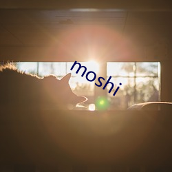 moshi （狗仗人势）