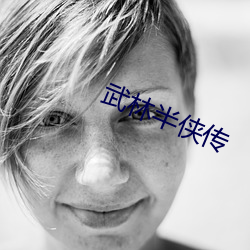 武林半侠传 （文章宿老）