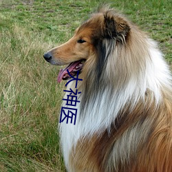 大神医 （病程）