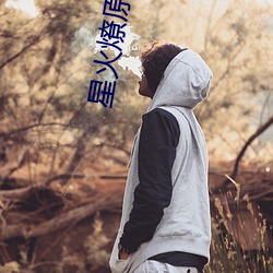 星火燎原小说