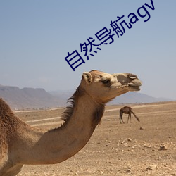自然导航agv