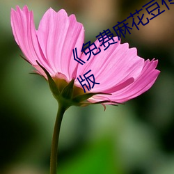 免費麻花豆傳媒劇國産MV》未刪減版