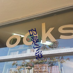 召(zhào)唤小(xiǎo)说