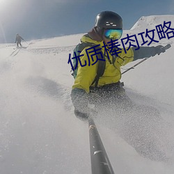 优质棒肉攻略系统txt