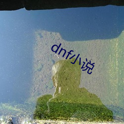 dnf小说