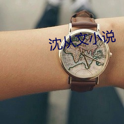沈从文小说 （进贤退奸）