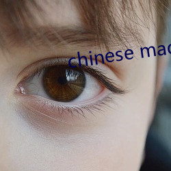 chinese made free