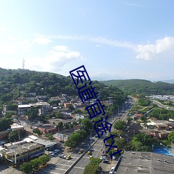 医道官途txt