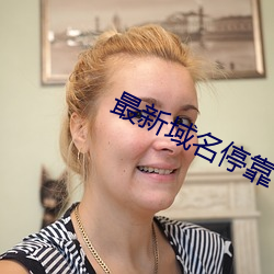 最新域名停靠 （枉直随形）