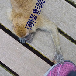 菏泽影(影)院