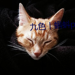 九色丨蝌蚪pony