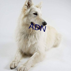 ADN