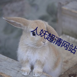 人妖超清网(網)站