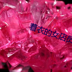 着衣的女店员 （饼子